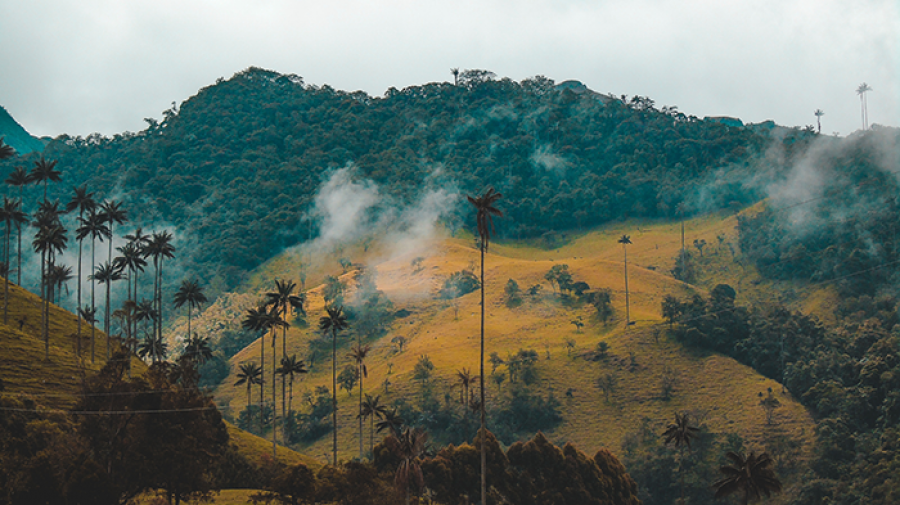 fernanda fierro 751314 unsplash colombia